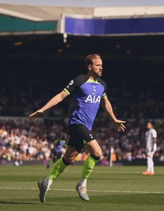 温网的草地 温网的草地